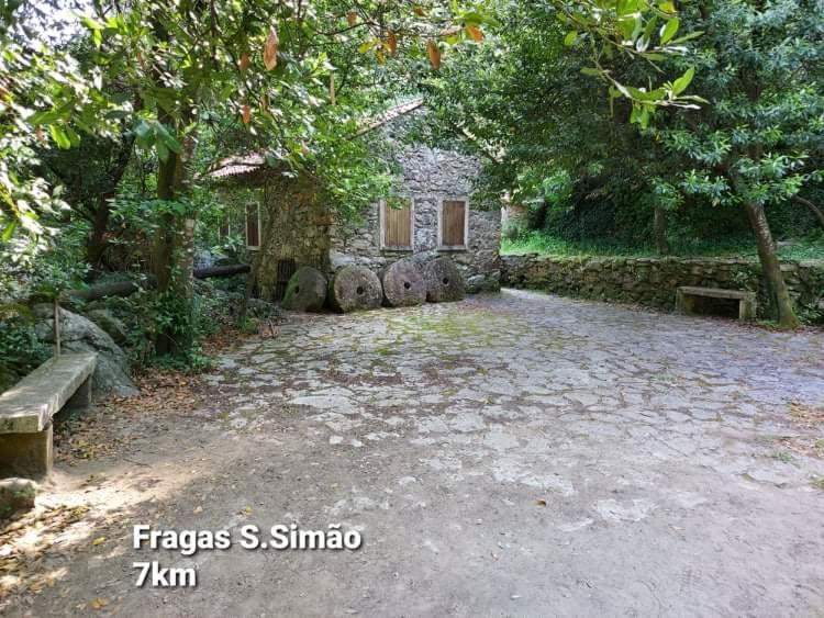 Casa Da Vila Figueiro Dos Vinhos Exterior foto